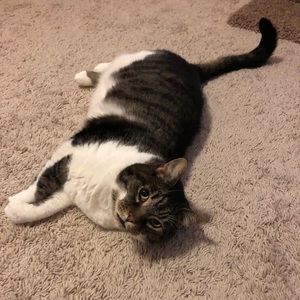 Meet your Posher, Kayleigh